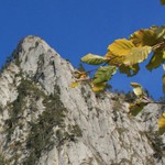 Romanian Tourism - Ceahlau Mountain