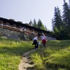 Ceahlau route: Durau - Toca - Dochia