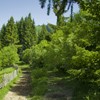 Hiking from Cheile Bicazului to Barnadu Village and Vithovos Peak