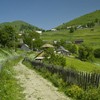 Hiking from Cheile Bicazului to Barnadu Village and Vithovos Peak