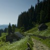 Hiking from Cheile Bicazului to Barnadu Village and Vithovos Peak