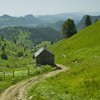 Hiking from Cheile Bicazului to Barnadu Village and Vithovos Peak