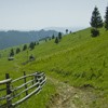 Hiking from Cheile Bicazului to Barnadu Village and Vithovos Peak