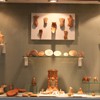 Museum collections in Piatra Neamt