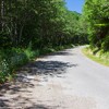 Pedaling from Izvorul Muntelui to Durau