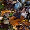 Autumnal colors on Secu Valley