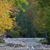 Autumnal colors on Secu Valley