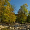 Autumnal colors on Secu Valley