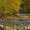 Autumnal colors on Secu Valley