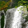 Romanian Tourism - Duruitoarea Waterfall