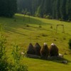 Romanian Tourism - Duruitoarea Waterfall