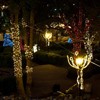 Easter lights in Piatra Neamt 2011