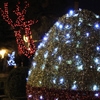 Easter Lights in Piatra Neamt