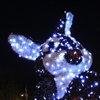 Easter Lights in Piatra Neamt