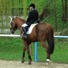 Equestrian Complex Piatra Neamt 2010
