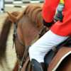 Equestrian Complex Piatra Neamt 2010