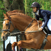 Equestrian Complex Piatra Neamt 2010