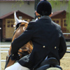 Equestrian Complex Piatra Neamt 2010