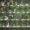 The birds exhibition from the Natural Science Museum from Piatra Neamt