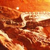 Reptile exhibition 2013