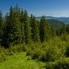 Hiking in Ceahlau: Izvorul Muntelui - Poiana Maicilor - Dochia