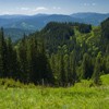 Hiking in Ceahlau: Izvorul Muntelui - Poiana Maicilor - Dochia