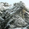 Hiking Cheile Bicazului: Lapos Canyon