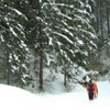 Hiking Cheile Bicazului: Lapos Canyon