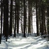 Hiking Route in Cheile Bicazului: Saua Tifra - Lacul Rosu