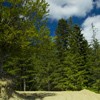 Hiking towards Cuejdel Lake in Neamt County