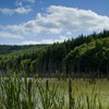 Hiking towards Cuejdel Lake in Neamt County