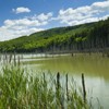 Hiking towards Cuejdel Lake in Neamt County