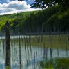 Hiking towards Cuejdel Lake in Neamt County