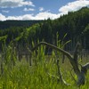 Hiking towards Cuejdel Lake in Neamt County