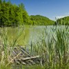 Hiking towards Cuejdel Lake in Neamt County