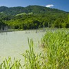 Hiking towards Cuejdel Lake in Neamt County