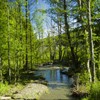 Hiking towards Cuejdel Lake in Neamt County