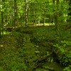 Hiking towards Cuejdel Lake in Neamt County