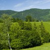 Hiking towards Cuejdel Lake in Neamt County