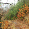 Hiking on Ivanes, Bicaz Chei