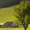 Horaicioara hermitage - Neamt County