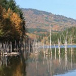 Romanian Tourism - Lake Cuiejdel