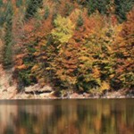 Romanian Tourism - Lake Cuiejdel