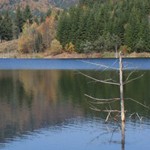 Romanian Tourism - Lake Cuiejdel