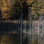 Romanian Tourism - Lake Cuiejdel