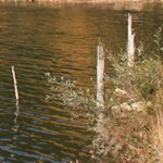 Romanian Tourism - Lake Cuiejdel