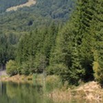 Romanian Tourism - Lake Cuiejdel