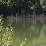 Romanian Tourism - Lake Cuiejdel