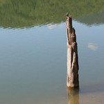 Romanian Tourism - Lake Cuiejdel