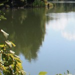 Romanian Tourism - Lake Cuiejdel